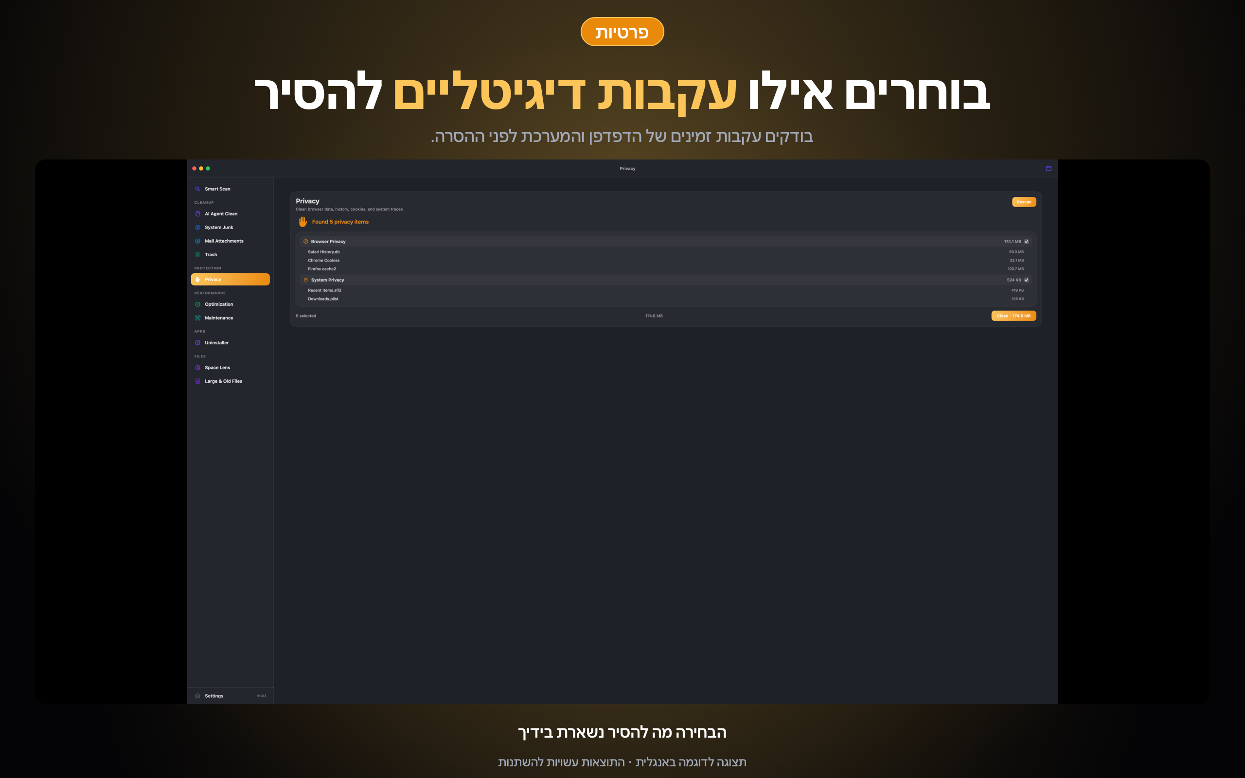 AI Agent Clean — פרטיות